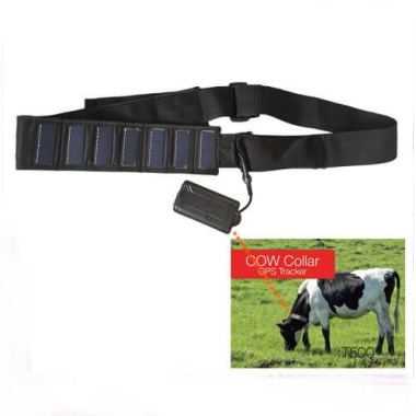 Tracking livestock with LoRa GPS collar